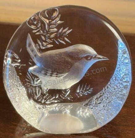 Birds Wren - No Box