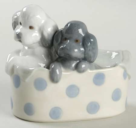 Cats and Dogs by Nao