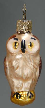 Birds Small Owl - No Box