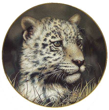 Cubs of the Big Cats by Princeton Gallery