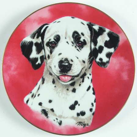 Darling Dalmatians by Princeton Gallery