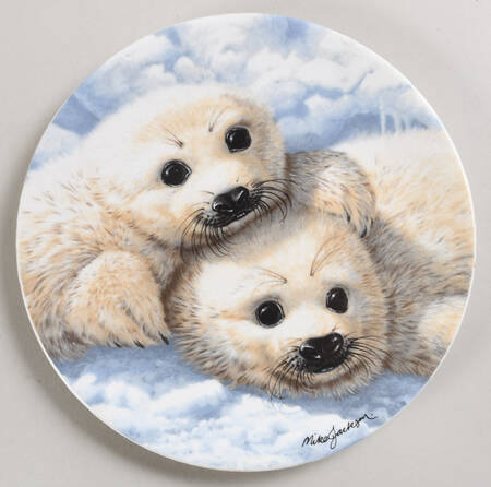 The Beauty of Polar Wildlife Baby Seals - With Box