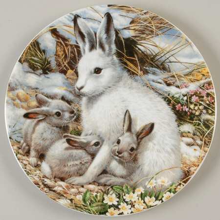 The Beauty of Polar Wildlife Arctic Hare Family - No Box