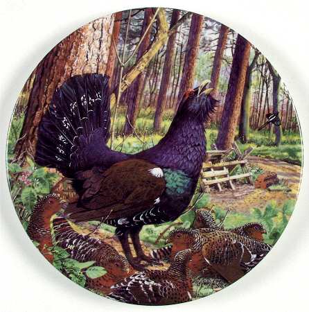The Braithwaite Game Bird Collection Capercaille - Boxed