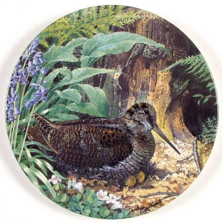 The Braithwaite Game Bird Collection Woodcock - No Box