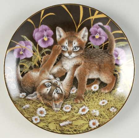 Feline Favourites Abyssinian Playmates - No Box