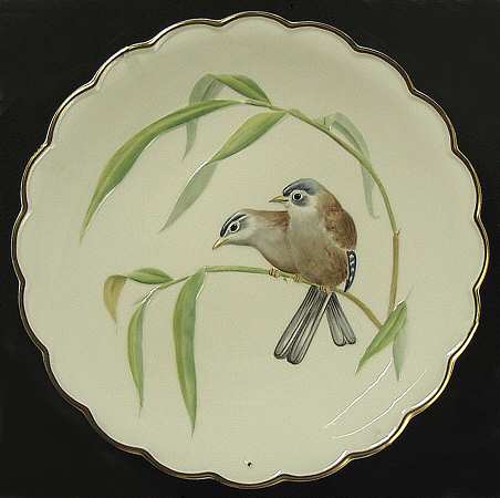 The Birds of Dorothy Doughty Blue-Winged Sivas And Bamboo - Boxed