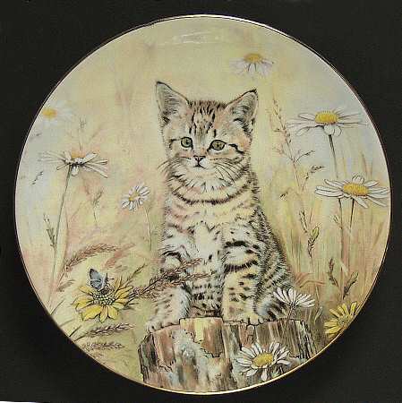Kitten Classics Tiger's Fancy - No Box