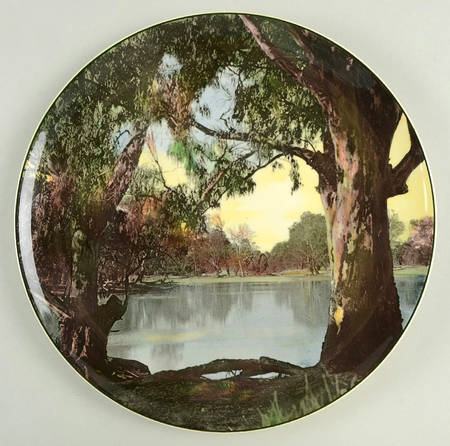 Australian Views Murray River Gums - Boxed