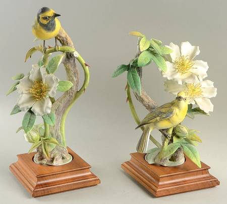 Doughty American Birds Hooded Warblers & Cherokee Rose Pair - Boxed
