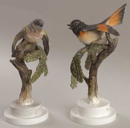 Doughty American Birds by Royal Worcester