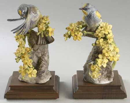 Doughty American Birds Audubon Warblers & Palo Verdi-Pair - Boxed