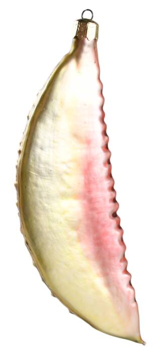 Fruits & Veggies Melon Slice - No Box