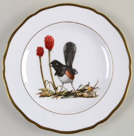 American Songbird Series by Spode