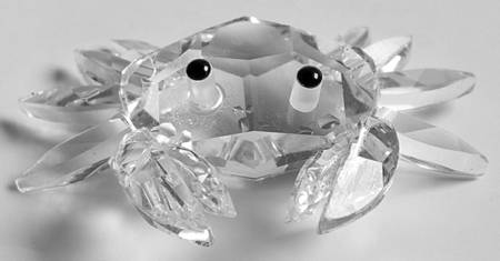 South Sea Crab-Mini - Boxed