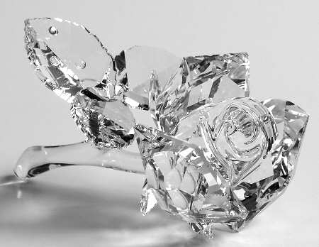 In The Secret Garden by Swarovski