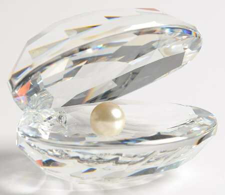 Aquatic Worlds Shell With Pearl-Open With White Pearl - No Box