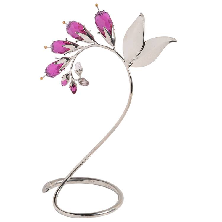 Exotic Flowers-Crystal Paradise Dacea- Fuchsia - Boxed