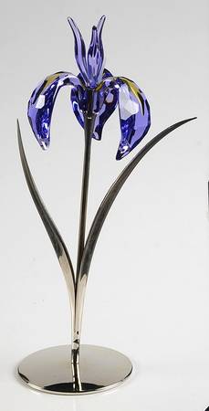 Exotic Flowers-Crystal Paradise Damboa-Blue Violet - Boxed