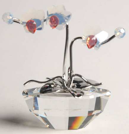 Flower Dreams Orchid-White Opal - With Box