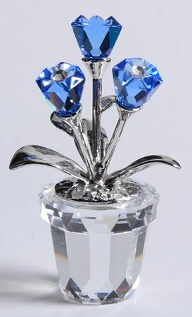 Flower Dreams Forget-Me-Not - Boxed