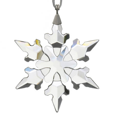 Annual Little Star-Snowflake Little Snowflake 2020 - No Box