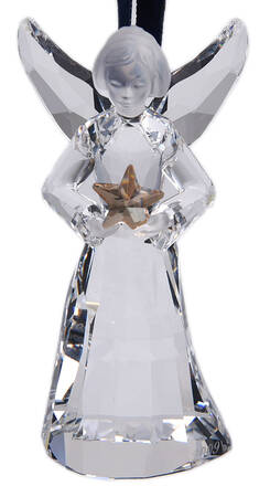 Annual Angel 2009-Angel - Boxed