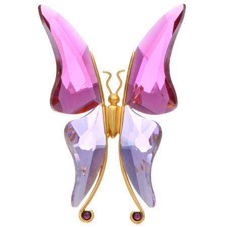 Insects & Butterflies Brooches Astara-Fuchsia - Boxed