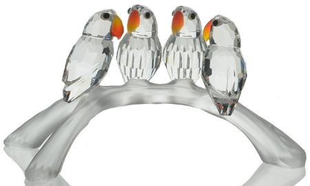Feathered Beauties Baby Lovebirds - No Box