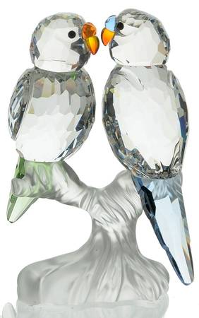 Feathered Beauties Budgies - Boxed