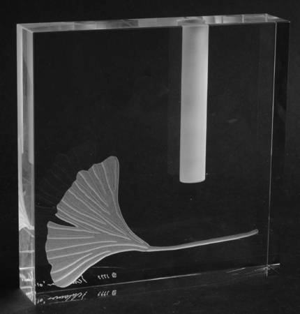 Giftware Ginkgo Leaf Bud Vase - No Box by Schlanser Design