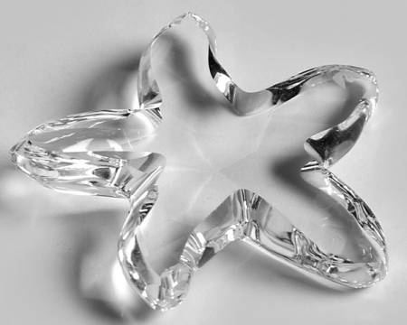 South Sea Starfish - Boxed