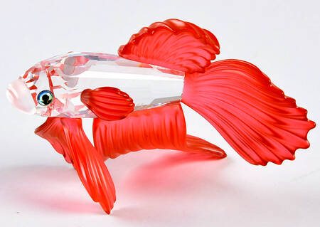 South Sea Siamese Fighting Fish-Red - Boxed