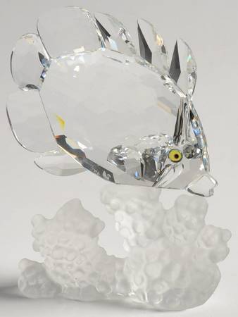 South Sea Butterfly Fish - Boxed