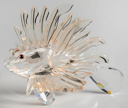 South Sea Lion Fish - No Box