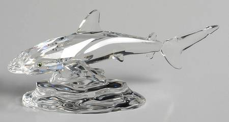 South Sea Baby Shark - Boxed