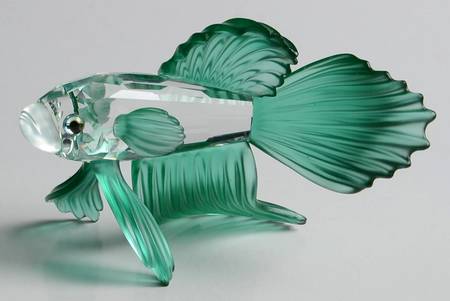 South Sea Siamese Fighting Fish-Green - No Box