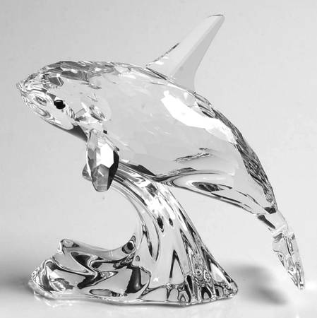 South Sea Orca-Killer Whale - Boxed