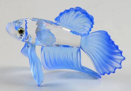 South Sea Siamese Fighting Fish-Blue - No Box