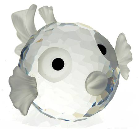 South Sea Blowfish-Large - With Box