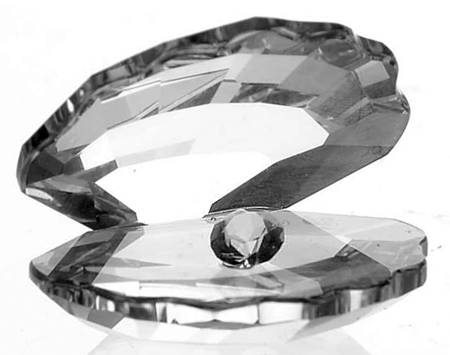 South Sea Shell-With Clear Crystal  - No Box