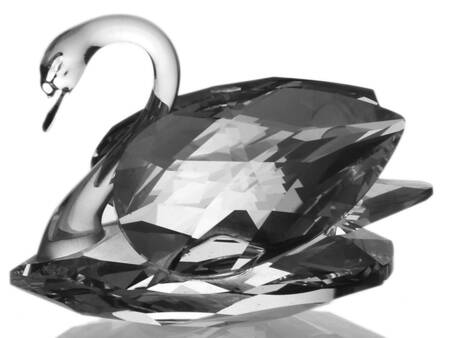 Beauties of the Lake Swan-Large-Small Tail-Not Flat On Bottom - Boxed