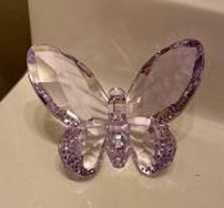 Brilliant Butterflies Butterfly-Violet - Boxed