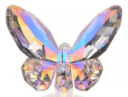 Butterflies Aurora Borealis - No Box