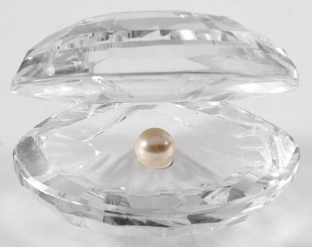Aquatic Worlds Shell With Pearl-Small-White Pearl - No Box