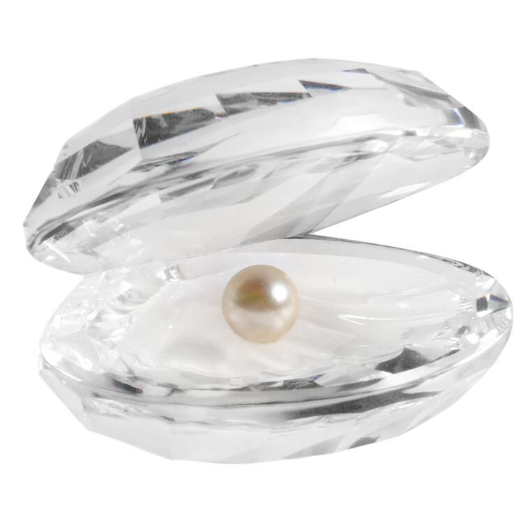 Aquatic Worlds Shell With Pearl-Large-White Pearl - Boxed