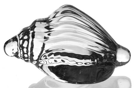Art Glass Clear Conch Shell Paperweight - No Box