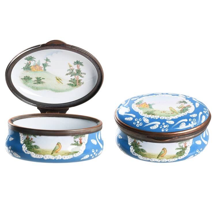 Historic Charleston Foundation Des Oiseaux  - Boxed
