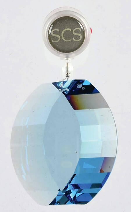 Society Event Ornaments Aqua Ornament - Boxed