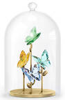 Jungle Beats Butterfly Bell Jar - Boxed